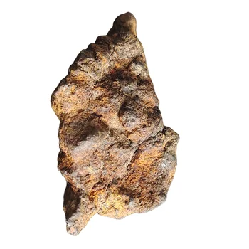 Kenijski Oljčno Meteorite Sericho Protolith Oljčno Meteorite Vzorec Naravnih Meteorite Materiala Zbirka