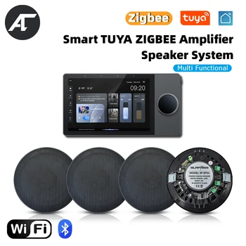 TUYA WiFi Smart Steno Ojačevalnik za Domači Kino Zvočni Sistem, Bluetooth, HiFi Stereo Zidava-v Razred D Amp Stropni Zvočniki za Hotel