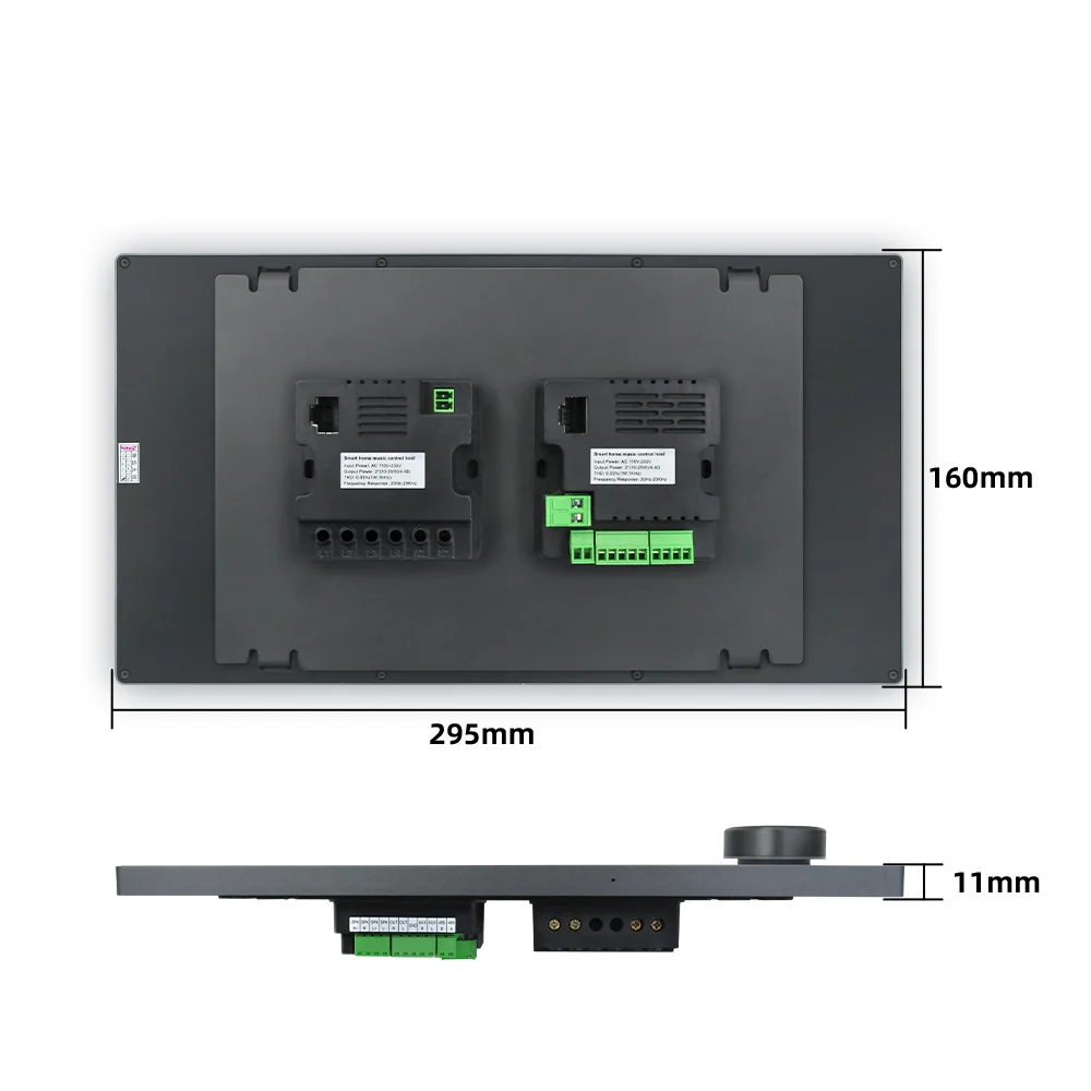 Zigbee 10 inch Steno Ojačevalnik Bluetooth, WiFi Tuya Avdio Amp Smart Home Theater Sound Sistem, Glasbeni Plošči Podporo RS485